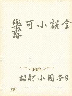 乐可小说金银花露封面