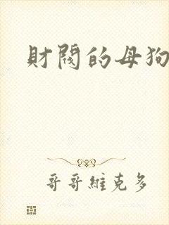 财阀的母狗们