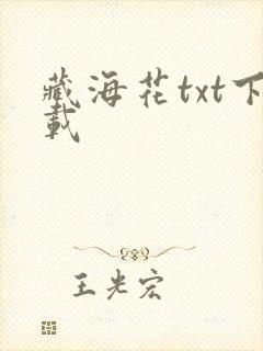 藏海花txt下载