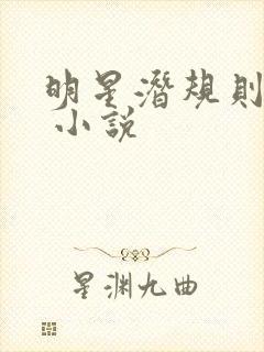 明星潜规则之皇 小说