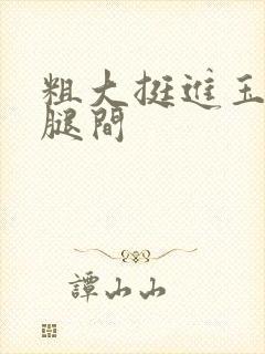 粗大挺进玉芬双腿间