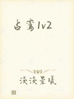 占鸾1v2