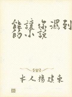 能让你湿到不行的小说