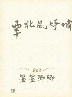 西北风呼啸的中午