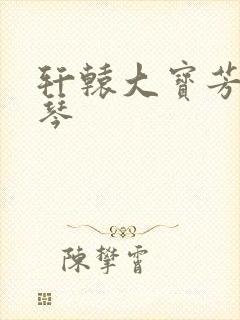 轩辕大宝芳菲雅琴