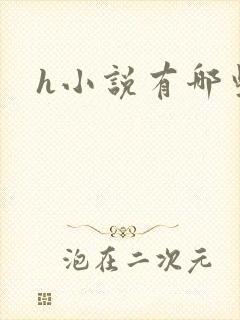 h小说有哪些封面