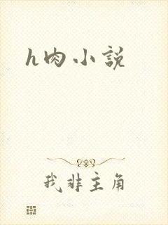 h肉小说