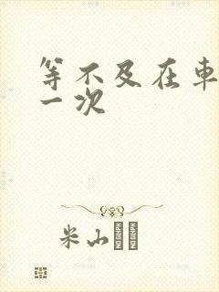 等不及在车里做一次