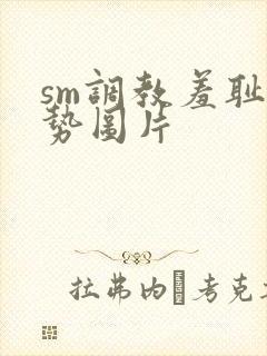 sm调教羞耻姿势图片封面