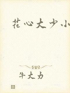 花心大少小说封面