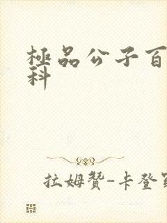 极品公子百度百科