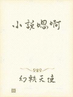 小说嗯啊