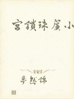 宫锁珠帘小说封面