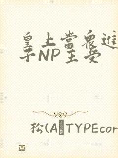 皇上当众进入太子NP主受封面