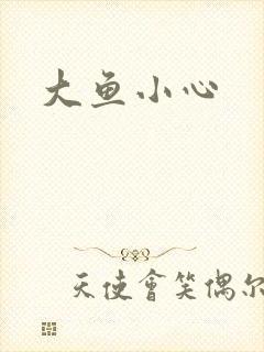 大鱼小心封面