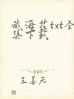 藏海花txt全集下载封面