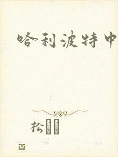 哈利波特中文版