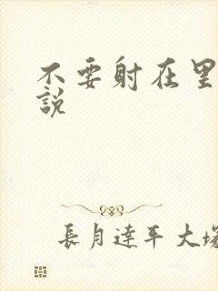 不要射在里面小说