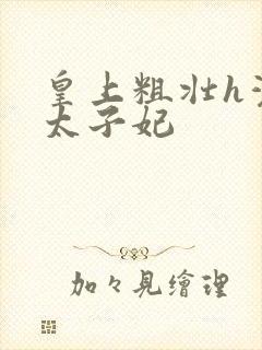 皇上粗壮h灌满太子妃封面