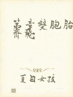 第章双胞胎姐妹齐飞