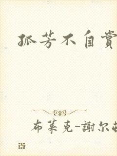 孤芳不自赏小说