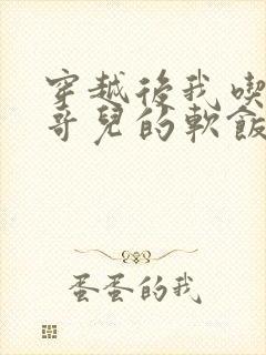 穿越后我吃到了哥儿的软饭炉山灰