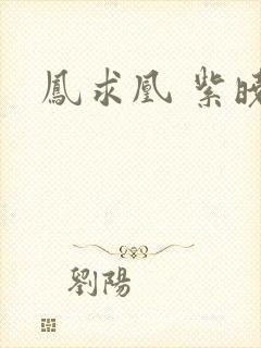 凤求凰 紫晓封面