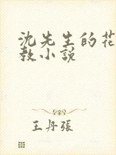 沈先生的花式调教小说