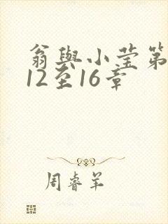 翁与小莹第十部12至16章