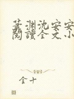 萧渊沈安安免费阅读全文小说封面