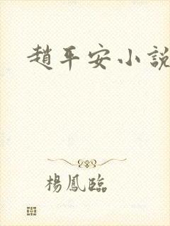 赵平安小说主角