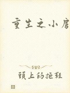 重生之小房东