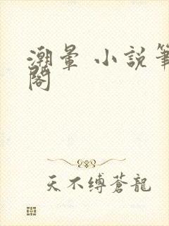 潮晕 小说笔趣阁