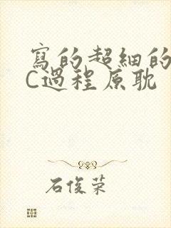 写的超细的多肉C过程原耽