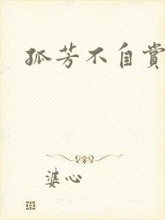 孤芳不自赏小说封面