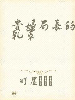 贵妇局长的蕾丝乳罩