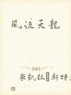 风流天龙封面