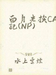 白月光挨CAO记(NP)封面