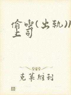 偷吃(出轨)h上司