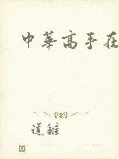 中华高手在异世