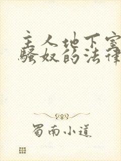 主人地下室惩罚骚奴的法律后果封面