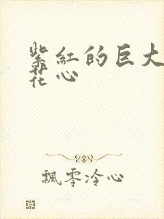 紫红的巨大顶开花心