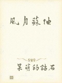 风月苏他封面