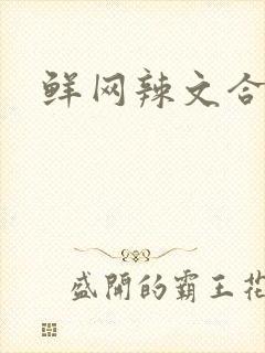 鲜网辣文合集封面