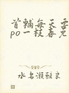 首辅每天要不够po一枝春免费阅读