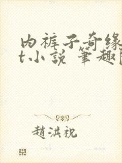 内裤子奇缘txt小说 笔趣阁封面