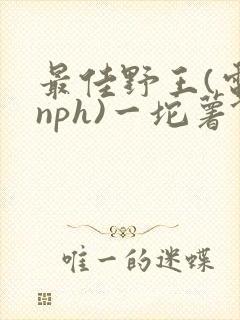 最佳野王(电竞nph)一坨薯饼封面