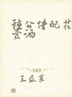 种公借配花间一壶酒