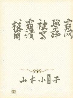 校霸被学霸玩到崩溃云译网