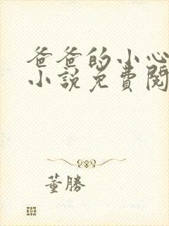 爸爸的小心肝儿小说免费阅读